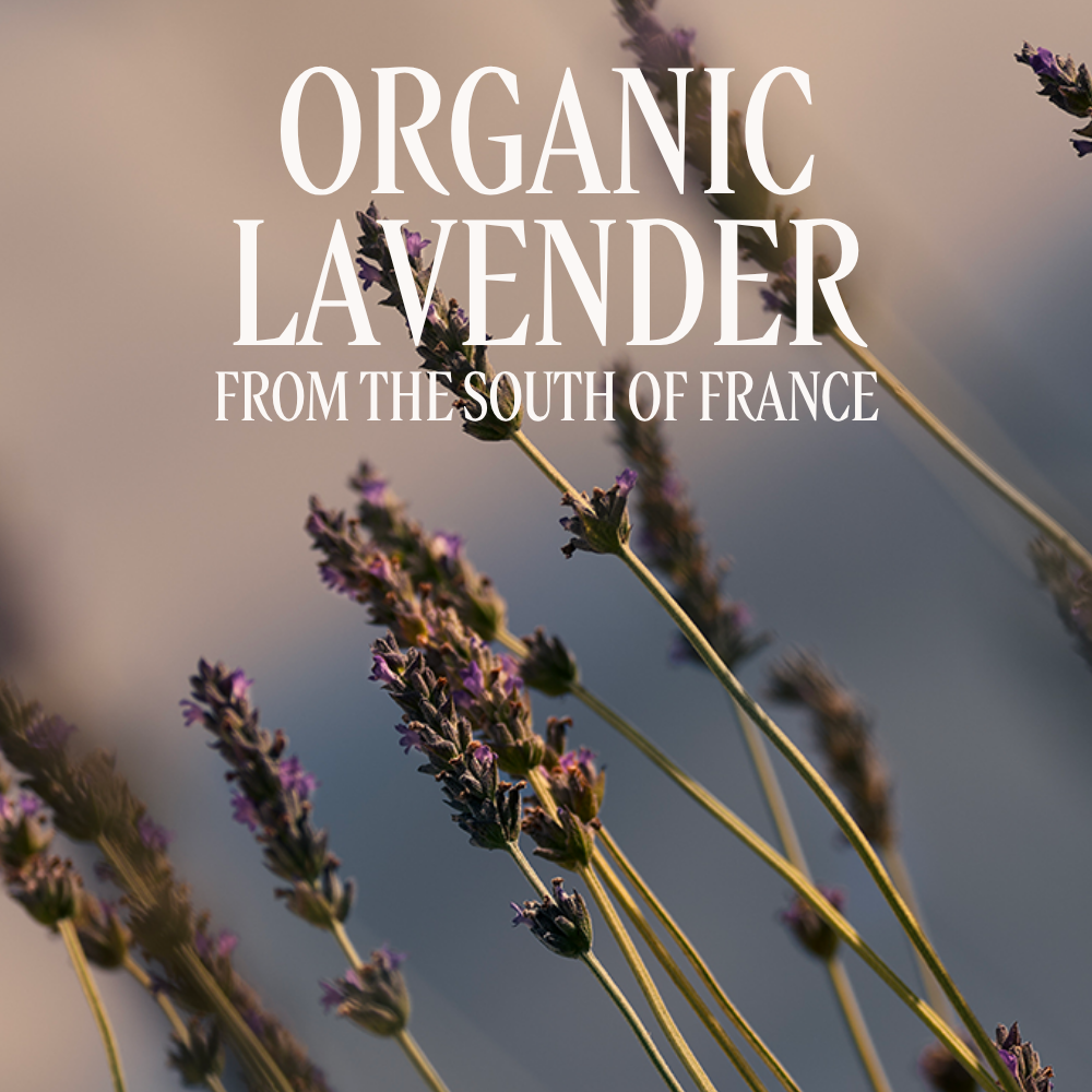 Lavande eau de toilette