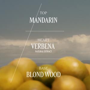 Citrus Verbena eau de toilette