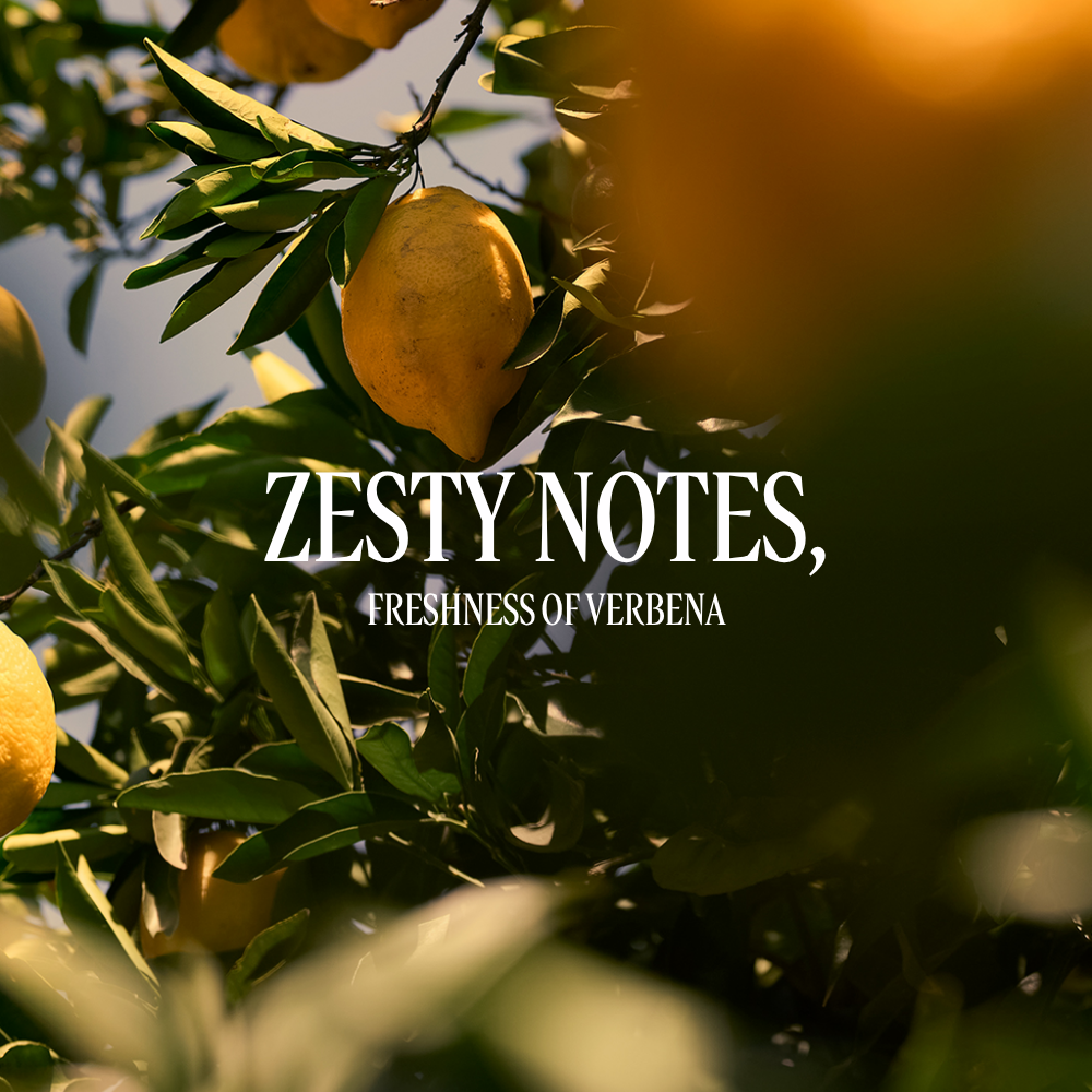 Citrus Verbena eau de toilette
